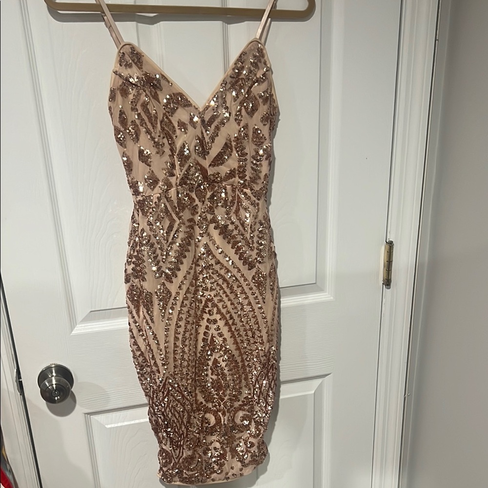 Blush Sequin Embellished Dress size Small